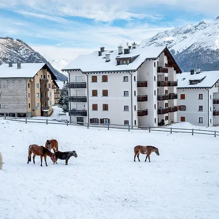 מלון Allegra צואוץ